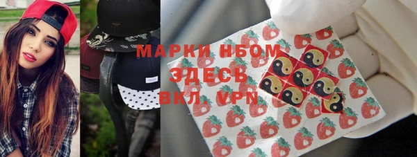 сатива Заводоуковск