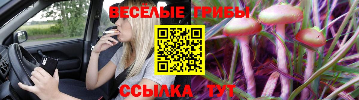 Галлюциногенные грибы мухоморы Лесосибирск