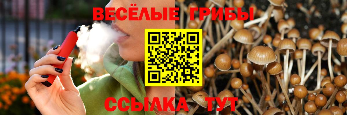Псилоцибиновые грибы MAGIC MUSHROOMS  Вход с VPN  Лесосибирск 